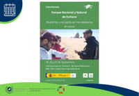 Muestreo y recogida de microbasuras en playa - Parque Nacional de Doñana