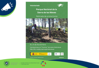 Retirada de protectores de plantas en el Parque Nacional de la Sierra de las Nieves