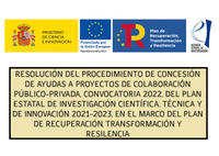Resolución de concesión de ayudas a proyectos colaboración pública-privada 2022