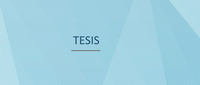 DEFENSA DE TESIS