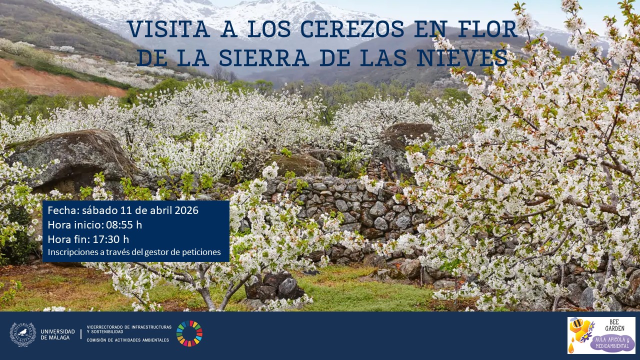 noticia1