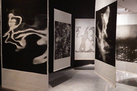 'Archivo Sombra', nueva muestra en la Sala de Exposiciones del Rectorado de la UMA