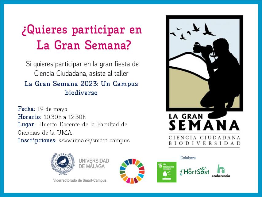 noticia1