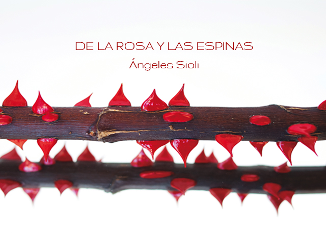noticia1