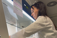 Revelan el potencial antitumoral de un compuesto natural frente al cáncer de mama triple negativo