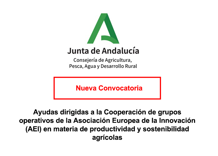 noticia1