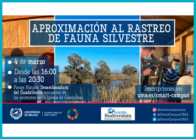 noticia1