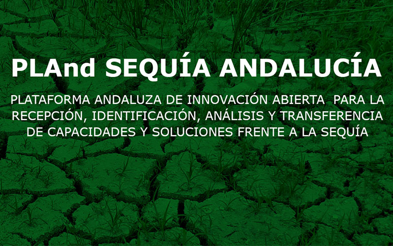 noticia1