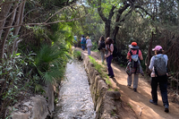 La UMA celebra el Día Mundial de la Tierra con actividades en la naturaleza