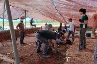 Se retoman las excavaciones en el yacimiento fenicio del Cerro del Villar