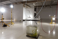 'Agua, por favor', de Edu Lavrador, se muestra en la sala expositiva de la Facultad de Bellas Artes