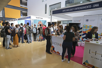 Formación Profesional, Universidad y Empresa: La necesidad de generar sinergias