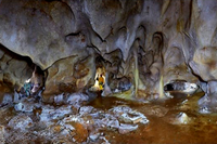 Una exposición lleva la malagueña Cueva de las Estegamitas al Museo Casa de la Ciencia de Sevilla