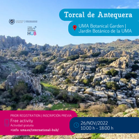 26 NOV | VISIT TO TORCAL AND ANTEQUERA
