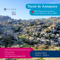 26 NOV | VISITA TORCAL Y ANTEQUERA