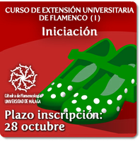 Curso de Extensión Universitaria en Flamenco (I): Iniciación.