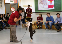 Alumnos de la UMA aprenden a aplicar terapias complementarias con perros en trastornos autistas