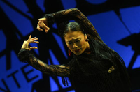 El flamenco- texto