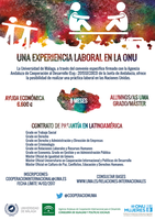 BECAS PARA REALIZAR PASANTÍAS EN ENTIDADES DE NACIONES UNIDAS PARA ESTUDIANTES DE GAP