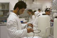La Universidad de Málaga abre una nueva convocatoria de ayudas para la iniciación a la investigación