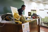 La Facultad de Ciencias acoge la II Jornada de Apicultura y Huertos Urbanos