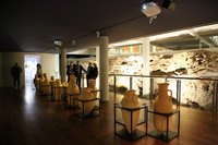 La Universidad inaugura un nuevo espacio patrimonial en el centro de Málaga