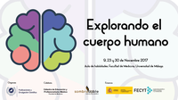 Explorando el cuerpo humano III