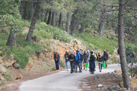 La UMA celebra la III Jornada de Sensibilización Ambiental en Los Reales de Sierra Bermeja