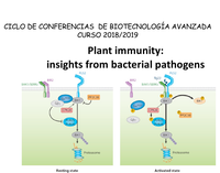 Plant immunity: insights from bacterial pathogens