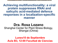 Achieving multifunctionality: a viral protein suppresses RNAi and salicylic acid-mediated defence responses in a localization-specific manner