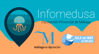 Estudio del impacto de las medusas en el litoral malagueño