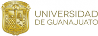 International Summer Research Program of the University of Guanajuato