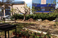 La Universidad de Málaga mejora la gestión de los espacios cultivados del campus