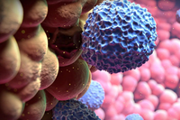 La UMA participa en un estudio que identifica un nuevo abordaje terapéutico del cáncer