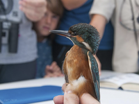 La UMA participa en el día mundial de las Aves de SEO Málaga [SGA]