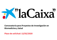 Convocatoria La Caixa: Proyectos de Investigación en Biomedicina y Salud