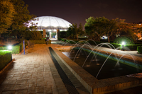 El Jardín Botánico de la UMA, reconocido con el Premio Amigos del Botánico 2020