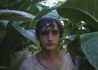 Lazzaro feliz / Martes 18 febrero 