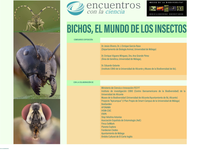 Exposición «Bichos: el mundo de los insectos» y Conferencia «El plástico que comemos y que respiramos»