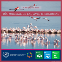 Día Mundial de las Aves Migratorias[ODS]