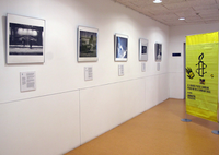 Exhibition displays graphical overview of the Declaration of Human Rights