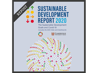 Lanzamiento del Informe mundial de Desarrollo Sostenible 2020 [ODS]