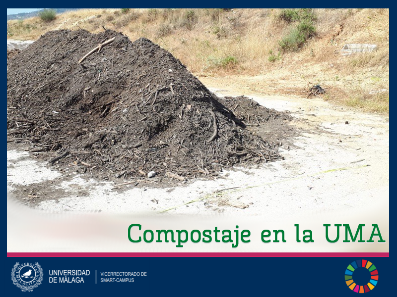 noticia1