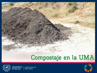El compostaje en la UMA es una realidad