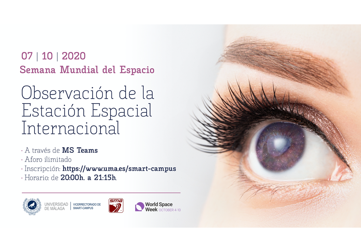noticia1