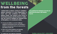 Collaborative problem solving in multidisciplinary networks