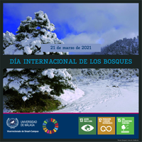 Día Internacional de los Bosques[SmartUMA][ODS]