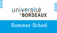 Bordeaux Summer School (online)