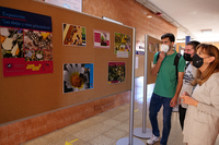 La Universidad se une a la celebración del Día Mundial de las Abejas con una exposición y un webinar