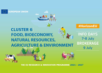 Networking virtual Horizonte Europa - Clúster 6: Alimentos, Bioeconomía, Recursos Naturales, Agricultura y Medio Ambiente 